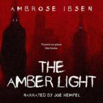 Book Review: The Amber Light by Ambrose Ibsen